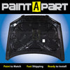 2004-2006 Hyundai Elantra Hood
