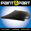 2004-2006 Hyundai Elantra Hood